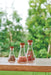 Hario Erlenmeyer Flask Stocker M Clear Sfs-M Japan - Efficient Storage Solution-Kiichin - The #1 Place for Japanese Goods in Your Hand!