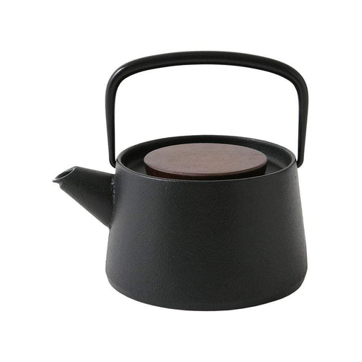 Ikenaga Tetu Nambu Cast Iron Teapot - Authentic Tetsukyusu for Tea Lovers-Kiichin - The #1 Place for Japanese Goods in Your Hand!