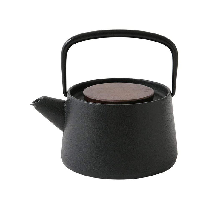 Ikenaga Tetu Nambu Cast Iron Teapot - Authentic Tetsukyusu for Tea Lovers-Kiichin - The #1 Place for Japanese Goods in Your Hand!