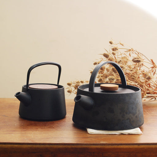 Ikenaga Tetu Nambu Cast Iron Teapot - Authentic Tetsukyusu for Tea Lovers-Kiichin - The #1 Place for Japanese Goods in Your Hand!