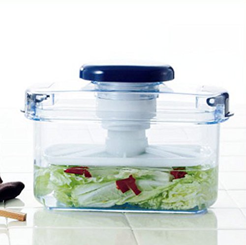 Squirrel 3L Round Green Pickle Container from Japan with Recipe E-30-Kiichin - The #1 Place for Japanese Goods in Your Hand!