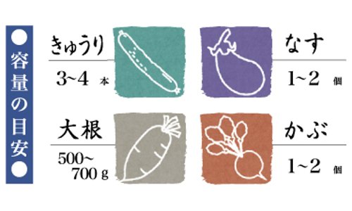 Squirrel 3.5L Nukazuke Square Seal Container - Authentic Japanese Made-Kiichin - The #1 Place for Japanese Goods in Your Hand!