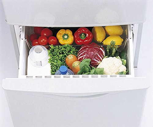 Takeya Chemical Industry 2.5L Rice Storage Container for 2Kg - Japan's Best-Kiichin - The #1 Place for Japanese Goods in Your Hand!