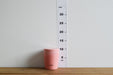 Tiger Thermos Cream Pink Soup Jar 300Ml - Japan Mcl-A030-Pc-Kiichin - The #1 Place for Japanese Goods in Your Hand!