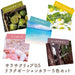 Zebra Gel Ballpoint Pen Set - 0.5mm, 5 Colors-Kiichin - The #1 Place for Japanese Goods in Your Hand!