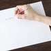 Zebra Japan 0.5Mm Ts-3 Mechanical Pencil for Notebooks-Kiichin - The #1 Place for Japanese Goods in Your Hand!