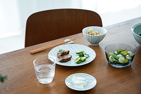 KINTO Hibi Plate Ray 110mm 27016 - Elegant Designer Dinnerware