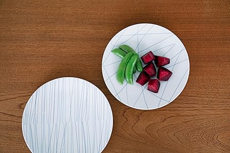 KINTO Hibi Plate Ray 110mm 27016 - Elegant Designer Dinnerware