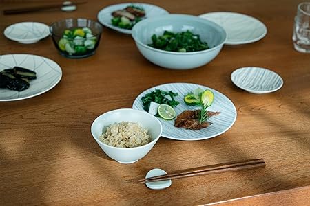 KINTO Hibi Plate Ray 110mm 27016 - Elegant Designer Dinnerware