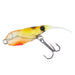 Daiwa Moonflower Young Shrimp Moebi 48 Count-Kiichin - The #1 Place for Japanese Goods in Your Hand!