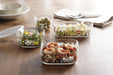 https://cdn.shopify.com/s/files/1/0564/5166/1891/files/Iwaki-HeatResistant-Glass-Airtight-Container-Shinji-Kato-Nordic-Garden-Design-Square-200Ml-B3200Snf-4905284165932-4.jpg?v=1755763425