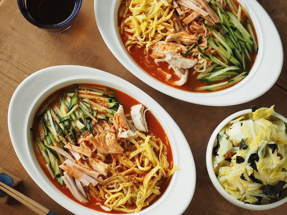 Noda Horo 28Cm White Enamel Oval Curry Pasta Plate Oven Safe Japan Made