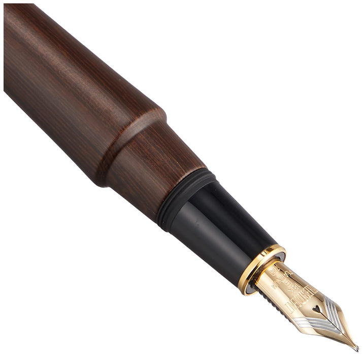 Platinum Izumo Tetsutoki Bold Fountain Pen with Matte Finish and Dual-Use Converter-Kiichin - The #1 Place for Japanese Goods in Your Hand!