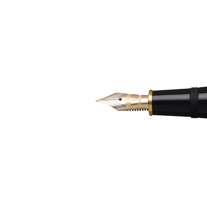 Platinum Fountain Pen Izumo Yakumo Paint Medium Point Dual-Use Regular Imported Piz-100000-Kiichin - The #1 Place for Japanese Goods in Your Hand!