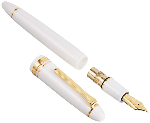 Sailor Profit 21 Fountain Pen White Bold Model 11-2021-610-Kiichin - The #1 Place for Japanese Goods in Your Hand!