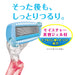 Schick Women's Razor Hydrosilk 4-Piece Replacement Blades-Kiichin - The #1 Place for Japanese Goods in Your Hand!