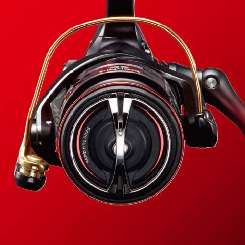 Shimano Sephia SS C3000SDH Eging Spinning Reel 19 - High Performance-Kiichin - The #1 Place for Japanese Goods in Your Hand!