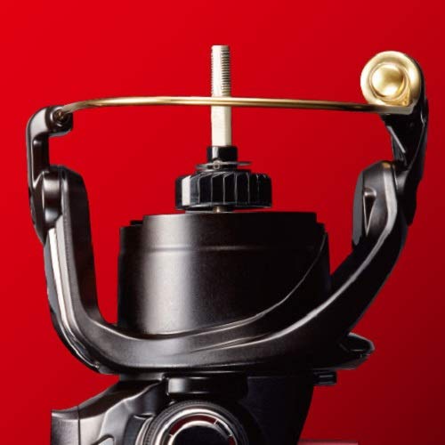 Shimano Sephia SS C3000SDH Eging Spinning Reel 19 - High Performance-Kiichin - The #1 Place for Japanese Goods in Your Hand!
