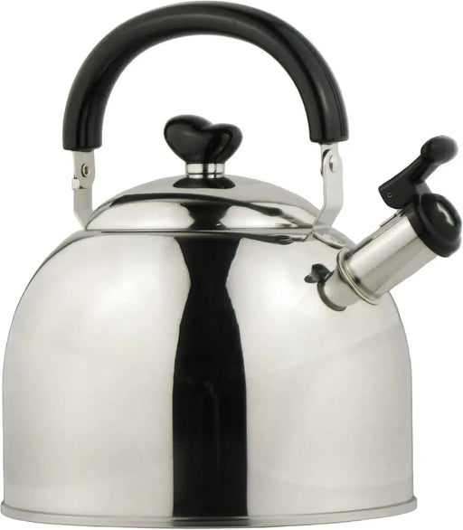 Nagao Tsubame Sanjo Stainless Steel Induction Compatible Kettle