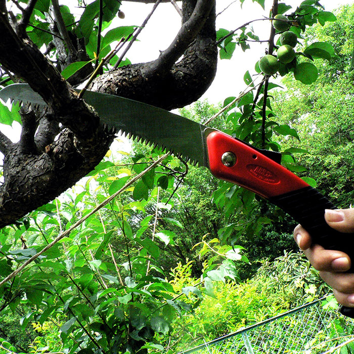 Ars Curve Saw Gr-17 Replaceable Saw Blade Type For Pruning Live Trees-Kiichin - The #1 Place for Japanese Goods in Your Hand!