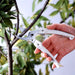 Ars Corporation Mini Choki 130Dx-Y Pruning Shears (Yellow)-Kiichin - The #1 Place for Japanese Goods in Your Hand!