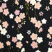Hama Pattern Furoshiki 50Cm - Black Japan Cherry Blossoms-Kiichin - The #1 Place for Japanese Goods in Your Hand!