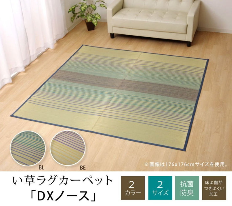 Ikehiko Corp Blue Igusa Rug Carpet 2 Tatami Square | 120cm x 120cm-Kiichin - The #1 Place for Japanese Goods in Your Hand!