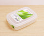 Iwasaki Industry Antibacterial Food Case S B1720Fr - Made in Japan-Kiichin - The #1 Place for Japanese Goods in Your Hand!