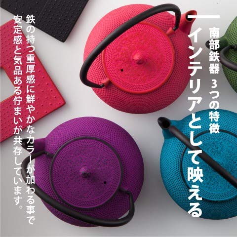 Nambu Tekki Teapot 0.4L - Black Black Enameled Inside Tea Strainer Traditional Crafts Japanese Tea Pot Souvenir-Kiichin - The #1 Place for Japanese Goods in Your Hand!