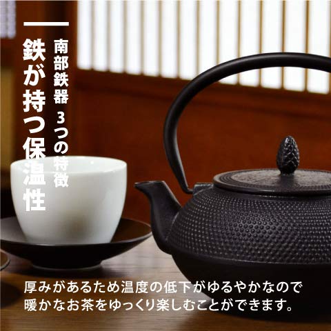 Nambu Tekki Teapot 0.4L - Black Black Enameled Inside Tea Strainer Traditional Crafts Japanese Tea Pot Souvenir-Kiichin - The #1 Place for Japanese Goods in Your Hand!