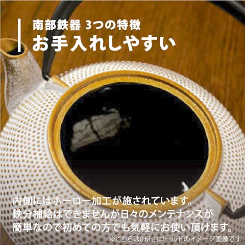 Ren Of Japan Nanbu Tekki Iron Bottle Teapot Arale Round Shape with Tea Strainer Enamel Finish Arare Small-Kiichin - The #1 Place for Japanese Goods in Your Hand!