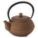 Ren Of Japan Nanbu Tekki Iron Bottle Teapot Arale Round Shape with Tea Strainer Enamel Finish Arare Small-Kiichin - The #1 Place for Japanese Goods in Your Hand!