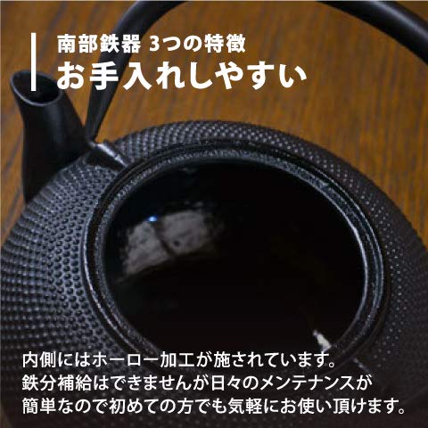 Nanbu Tekki Teapot 0.4L Brown Japan Tea Pot with Strainer-Kiichin - The #1 Place for Japanese Goods in Your Hand!