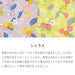 Musubi Furoshiki 70Cm Himemusubi Adeline Klam Citrus Yellow Cotton-Kiichin - The #1 Place for Japanese Goods in Your Hand!