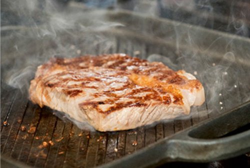 Oigen Nambu Tekki Grill Pan Plate Iron IH Compatible Japan - CA31S-Kiichin - The #1 Place for Japanese Goods in Your Hand!