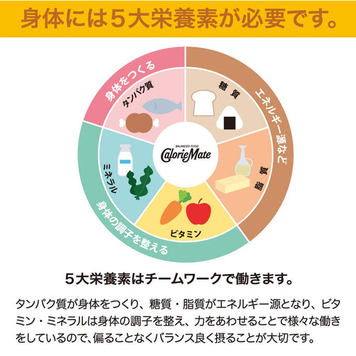 Calorie Mate Block Chocolate (Japan) - 4 Packs of 30 Pieces by Otsuka Pharmaceutical-Kiichin - The #1 Place for Japanese Goods in Your Hand!