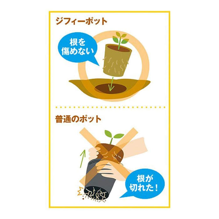 Sakata Seeds Eco Pot Plantable Round 5.5cm x 40 Pieces - Made in Japan-Kiichin - The #1 Place for Japanese Goods in Your Hand!