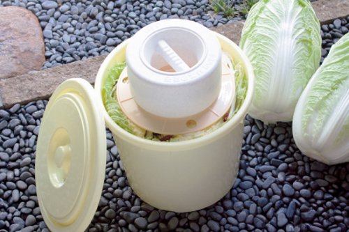 Squirrel Japan Ivory Round Pickle Barrel with Push Lid - Type 5-Kiichin - The #1 Place for Japanese Goods in Your Hand!